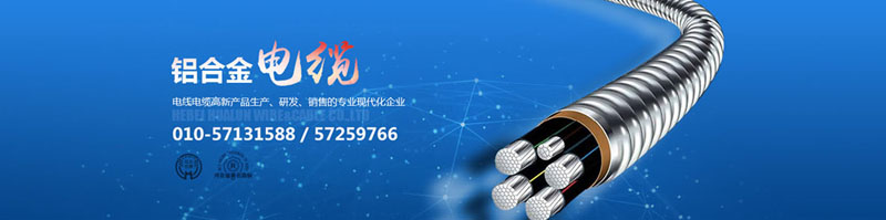 滄州市統(tǒng)計(jì)工作規(guī)范化建設(shè)推進(jìn)會在華倫公司順利召開!